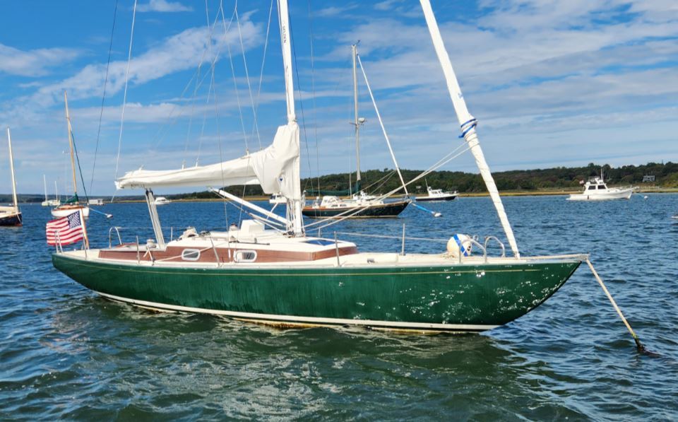 rustler-33-julia-1-main