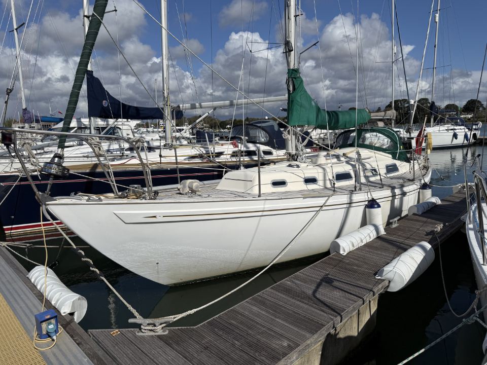 Rival 34, UNRIVALED 1 Main