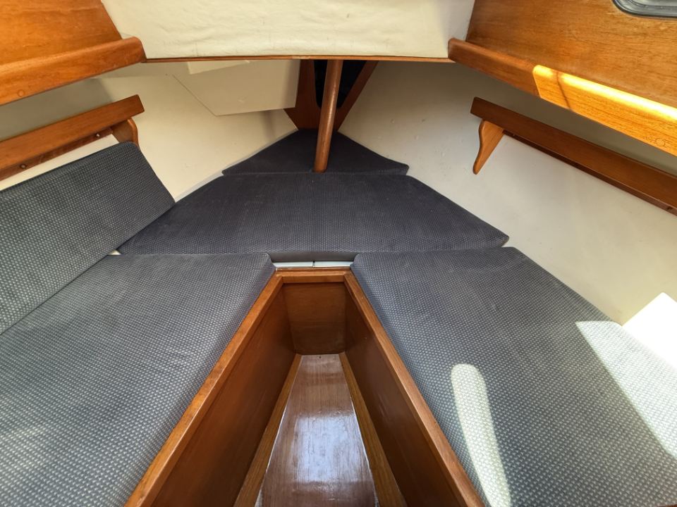 Rival 34, UNRIVALED 6